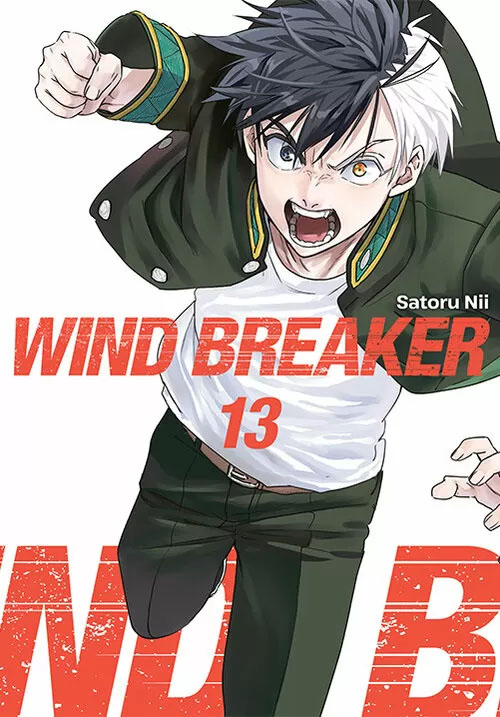 Wind Breaker #13