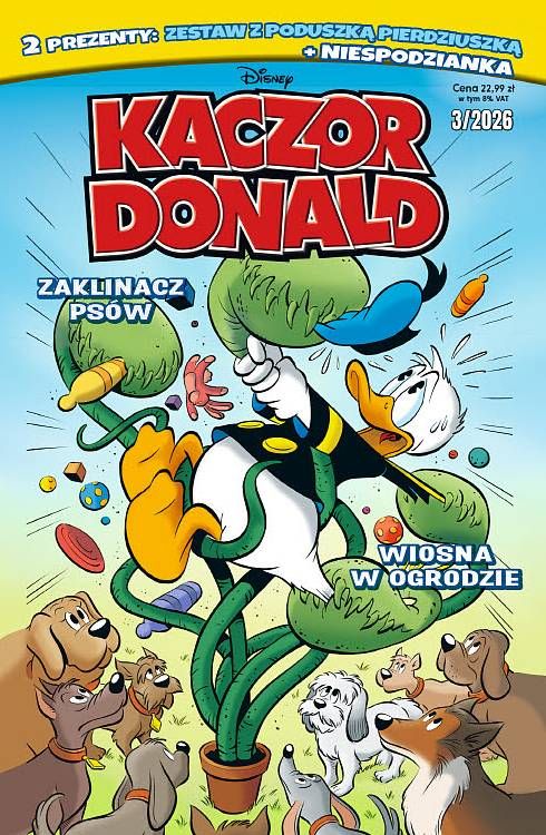 Kaczor Donald #3