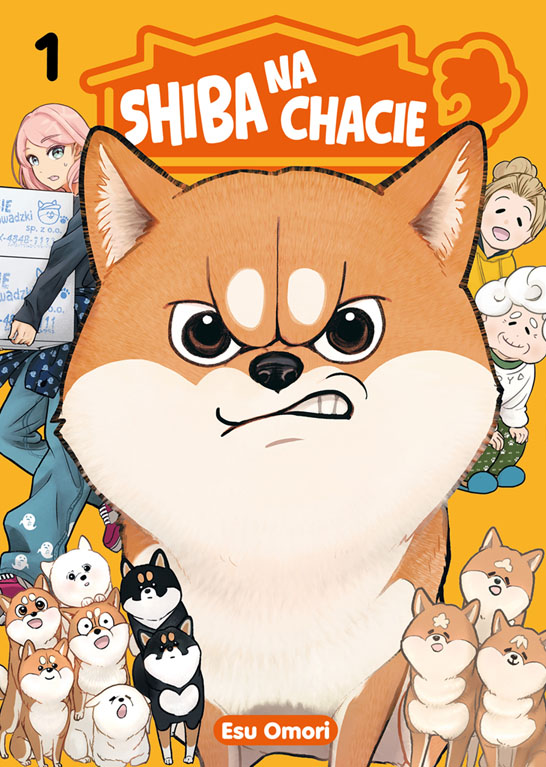 Shiba na chacie #1