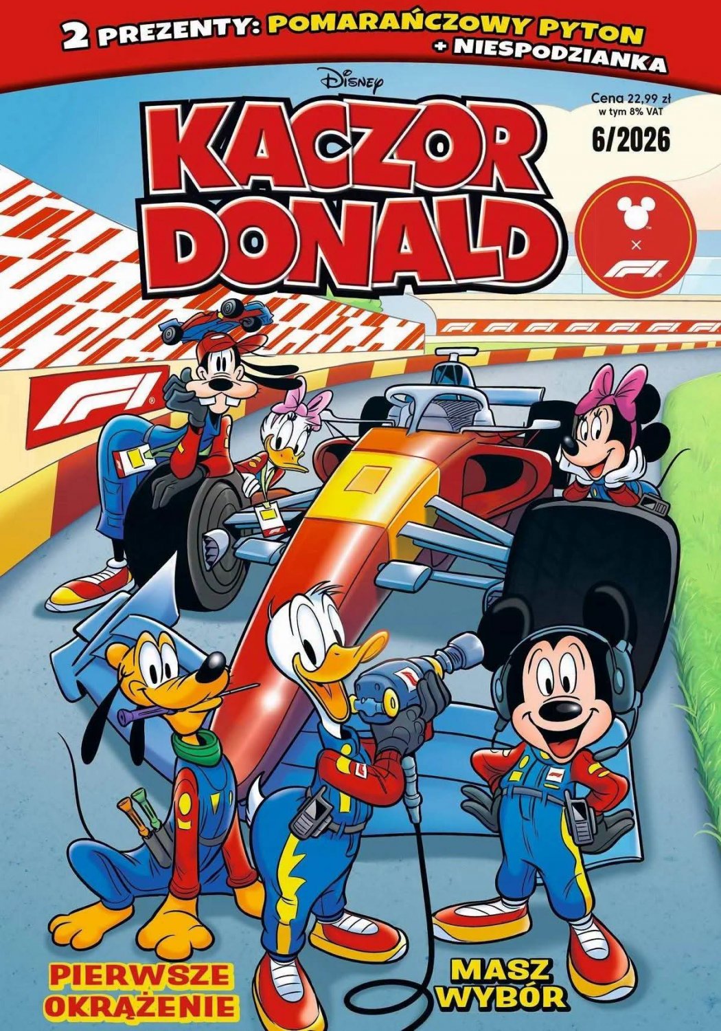 Kaczor Donald #6